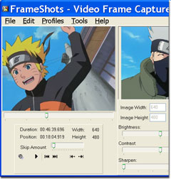 Frame Shots 3.0-Програма за скрийн шотове